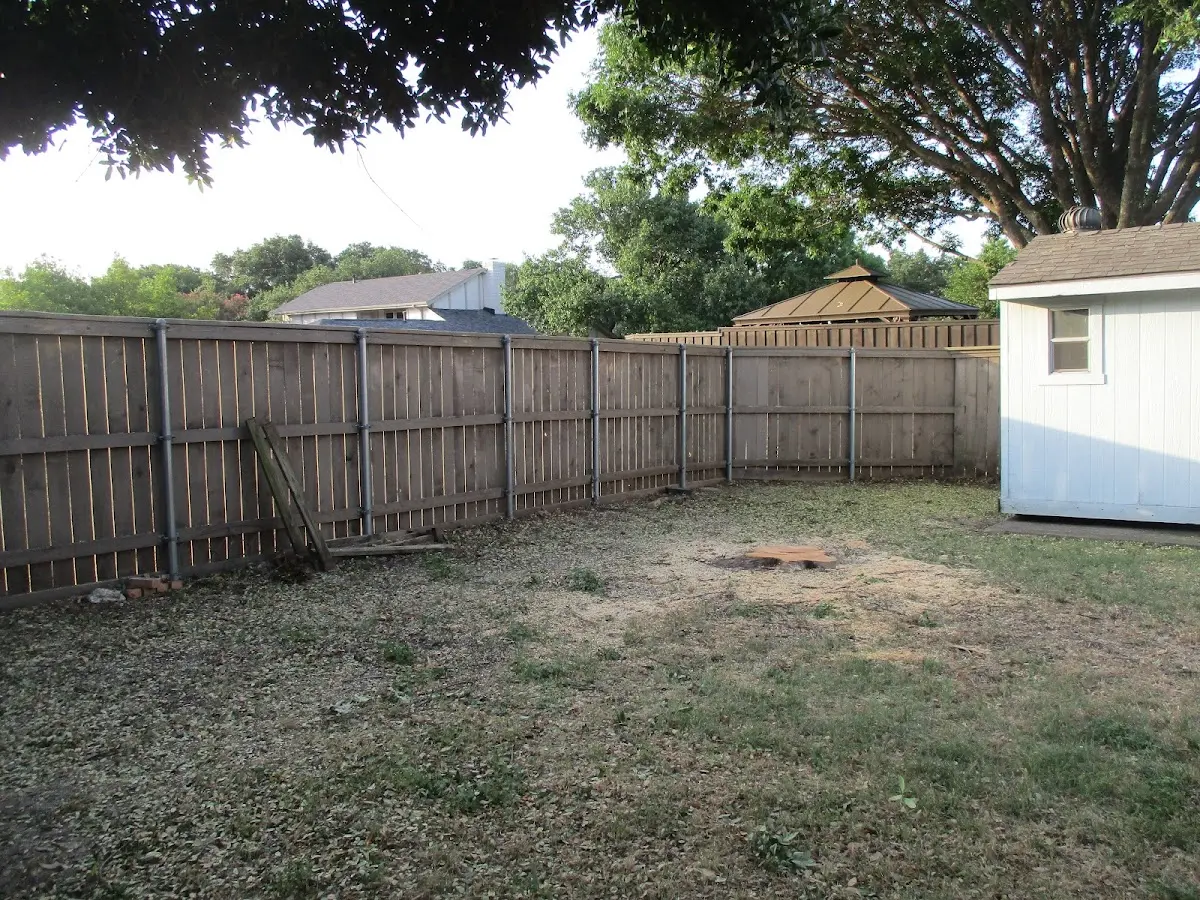 Cleared yard after professional tree removal in Sabine Pass